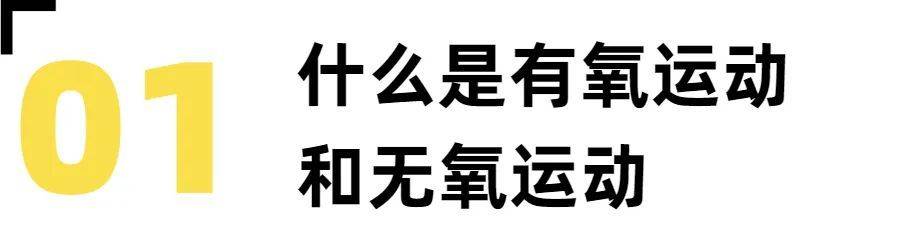 196体育：健身小白你必须了解的健身知识！(图2)