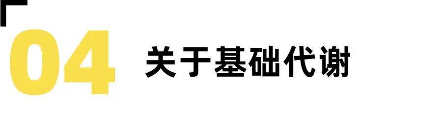 196体育：健身小白你必须了解的健身知识！(图6)