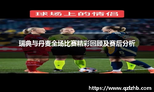瑞典与丹麦全场比赛精彩回顾及赛后分析